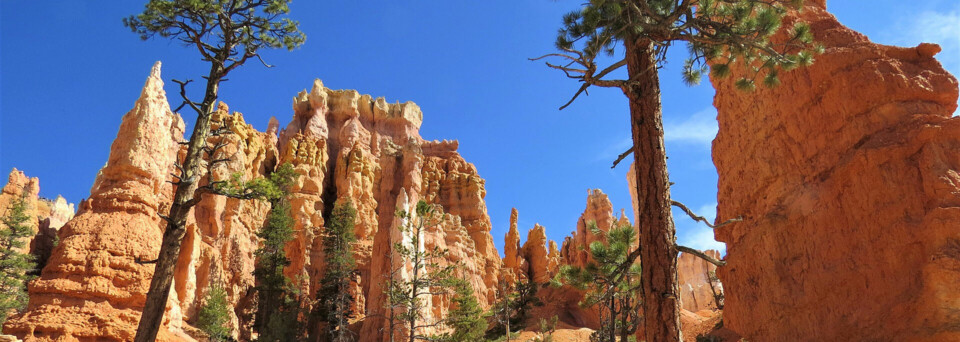 Bryce Canyon