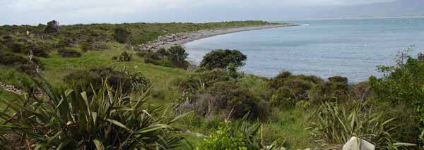 Kapiti Island