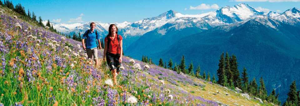 Wanderer in Whistler