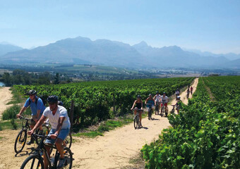 Fahrradtour durch das Weinland