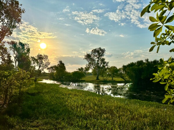 Reisebericht Australien - Yellow Water Billabong