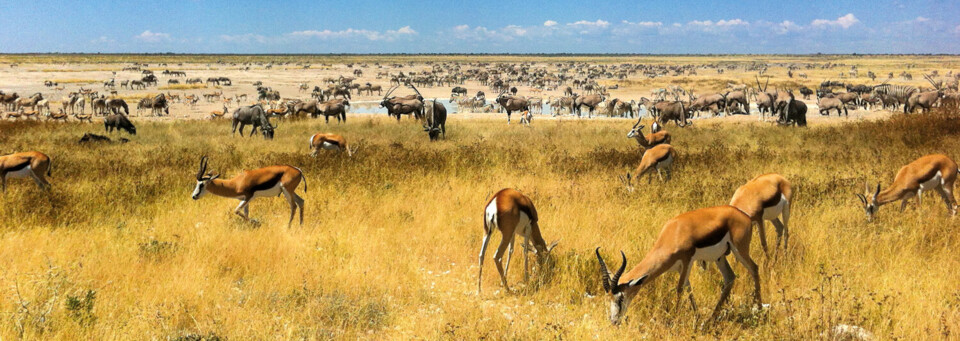 Etosha Nationalpark