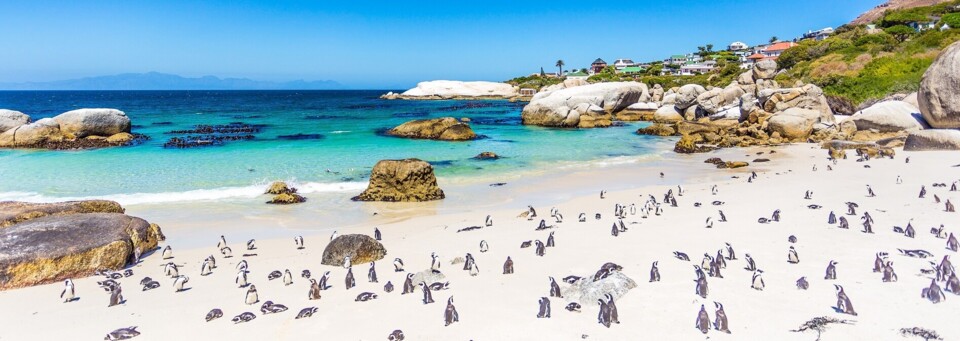 Kapstadt Boulders Beach