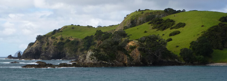 Reisebericht Neuseeland - Bay of Islands