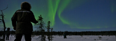 Nordlichter & Yellowknife