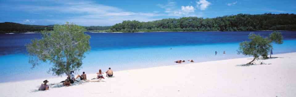 Korallen des Great Barrier Reefs