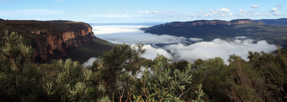 Blue Mountains