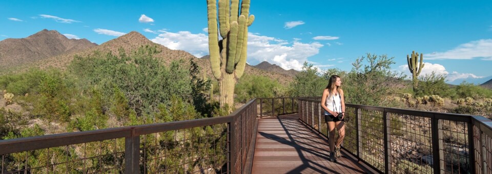 Gateway Trailhead: Der große Eingang zum McDowell Sonoran Preserve von Scottsdale