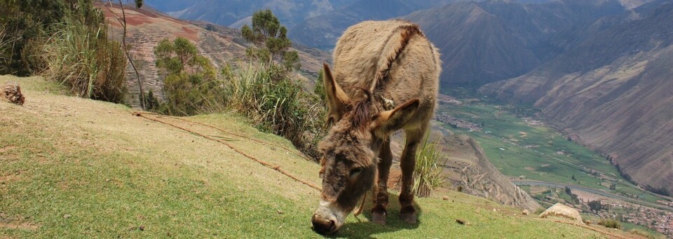 Urubamba Tal bei Cusco