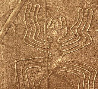 Nazca Linien - Spinnenbild Nazca Linien - Spinnenbild