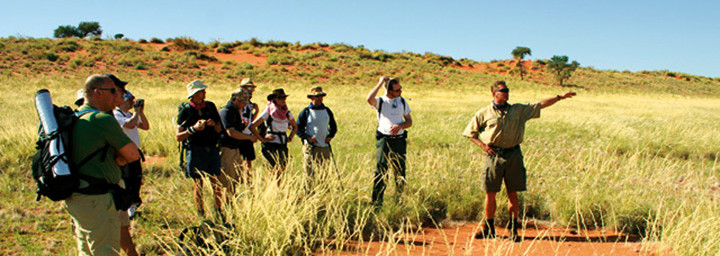 Tok Tokkie Trail Wanderung