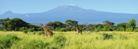 Amboseli Fly-In Tour