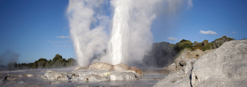 Geysire in Rotorua