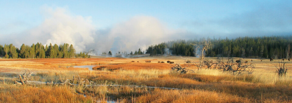 Yellowstone Nationalpark