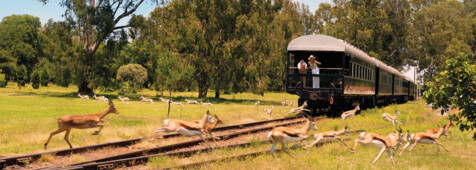 Rovos Rail Zugreise ab Pretoria/bis Walvis Bay