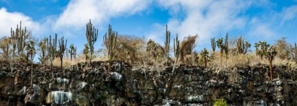 Abenteuer auf den Galápagos-Inseln – Schnorcheln & Seelöwen