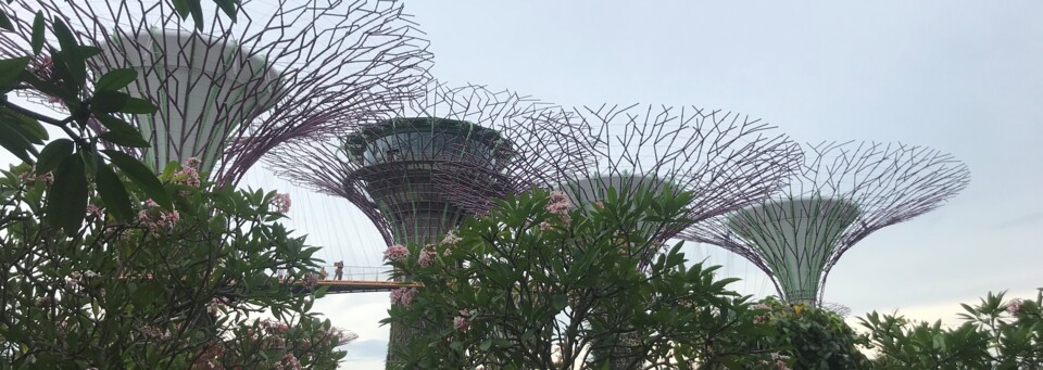 Super Trees - Gardens by the Bay / © Jessica Henning