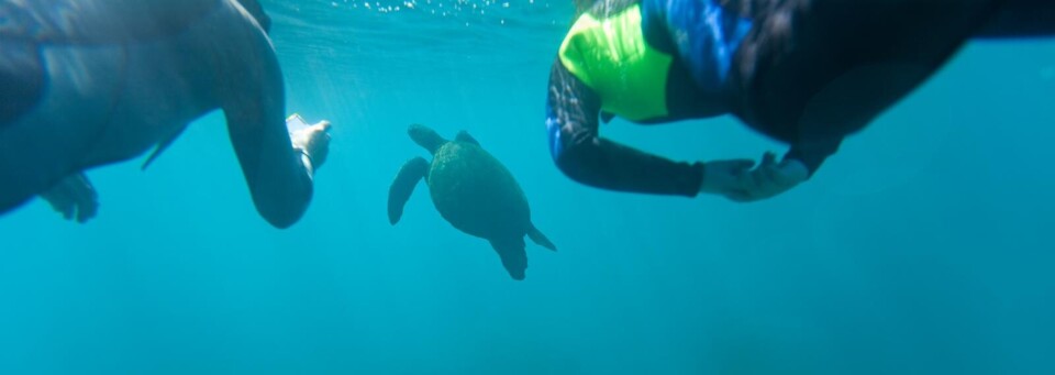 Galapagos Galapagos Inselhopping