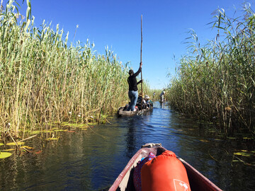 Fahrt im Mokoro durch das Okavango Delta - Botswana Reisebericht