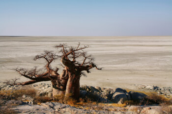 Makgadikgadi Salzpfannen