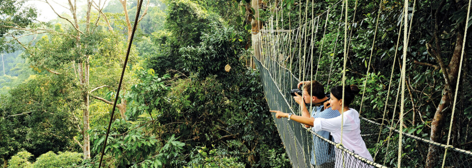 Brücke im Taman Negara, Regenwald Malaysia