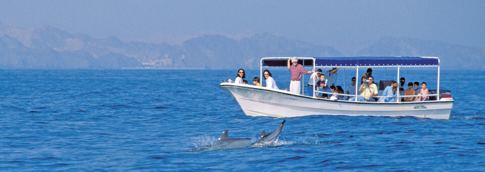 Delfinbeobachtungstour Oman