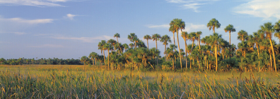 Everglades Florida