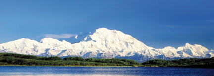 Denali Wilderness Tour 