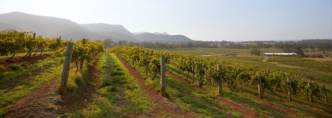 Berge, Meer & Wein