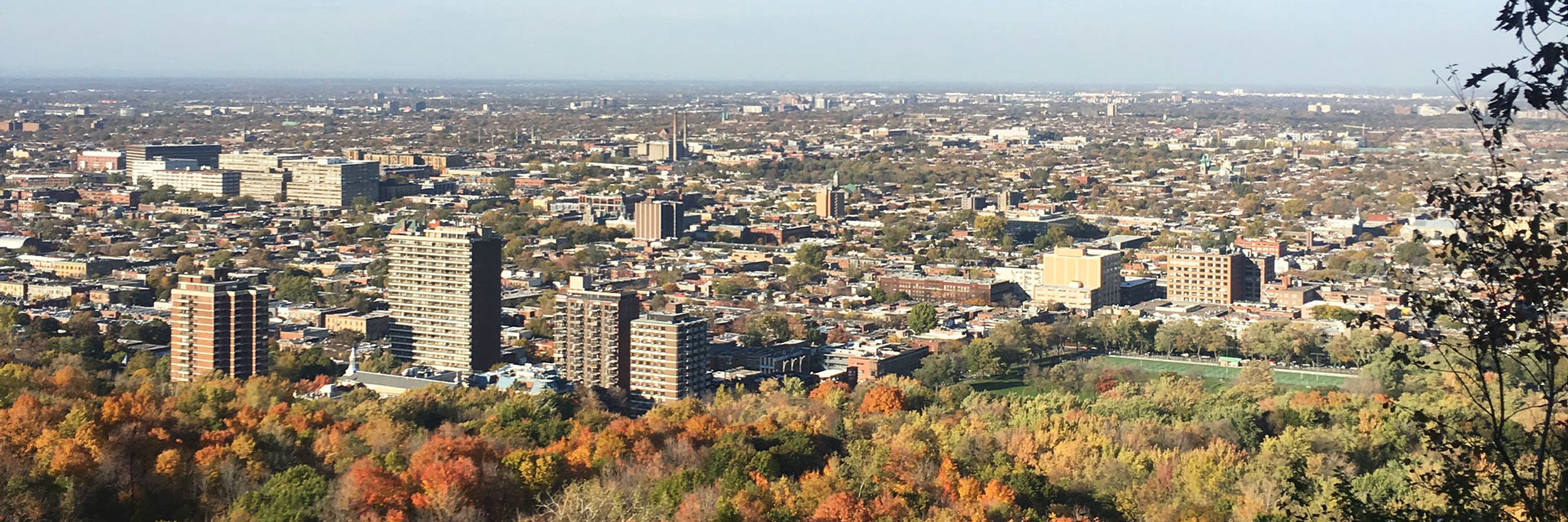 Mont Royal in Montréal - Kanada Reisebericht