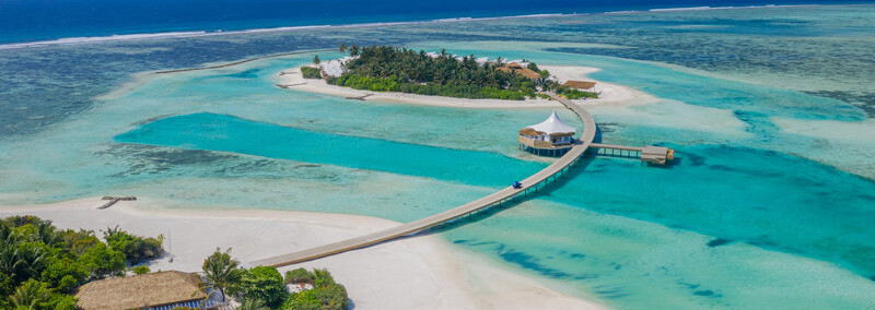 Cinnamon Hakuraa Huraa 