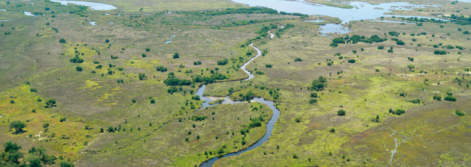 Okavango Delta Botswana