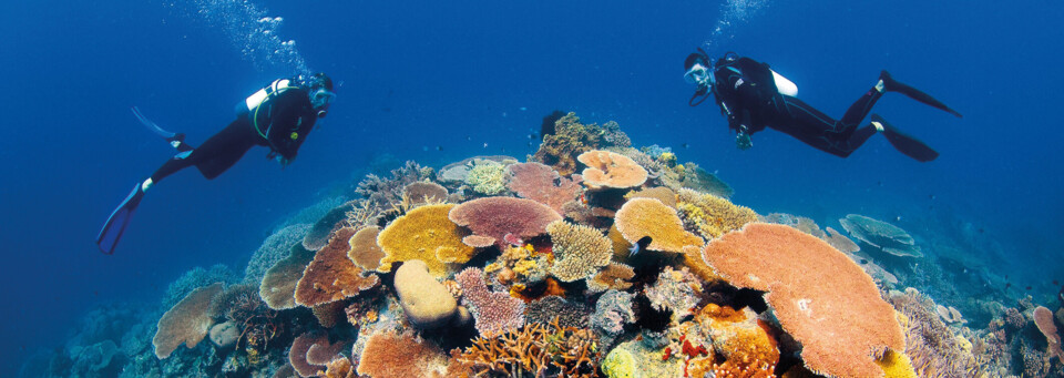 Zwei Taucher Great Barrier Reef