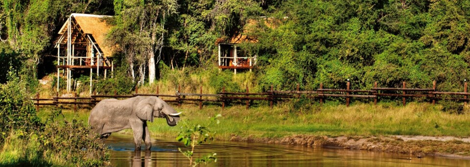 Wasserloch der Savute Safari Lodge