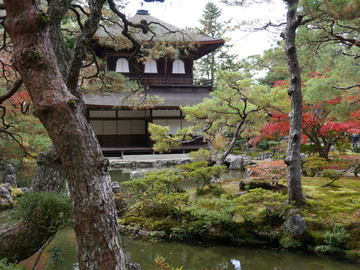Reisebericht Japan : Tempel und Garten in Kyoto