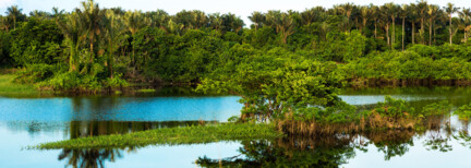Manaus - Amazon Ecopark Lodge