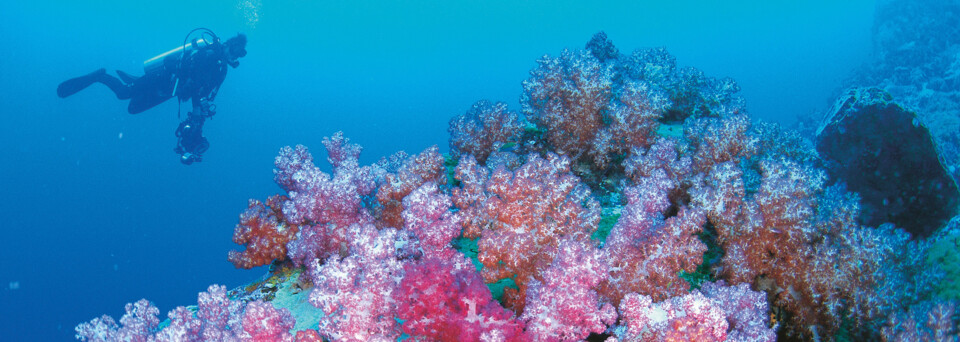 Ningaloo Reef