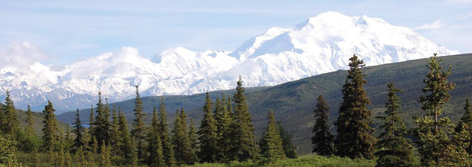 Denali Nationalpark Alaska