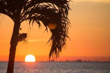 Sonnenuntergang in Florida 