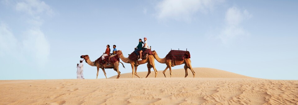 Dubai Wüste Kamele
