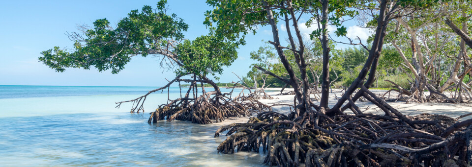 Cayo Jutias / © Susanne Wehr - Getty Images