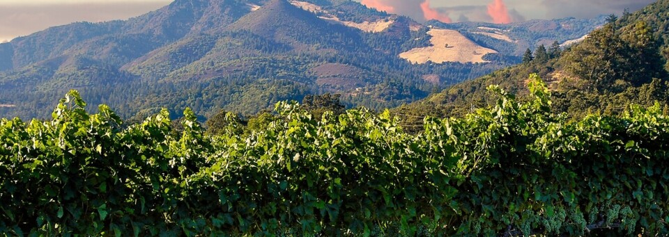 Sonnenuntergang in Napa Valley, Kalifornien