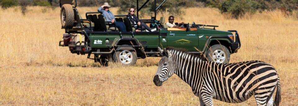 Safari des Safari Plains