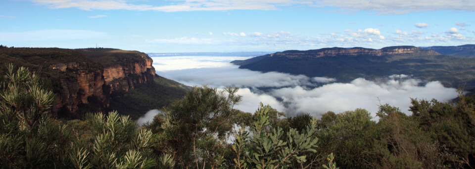 Blue Mountains im Nebel