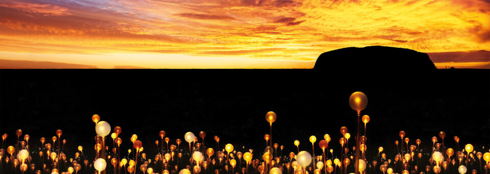 Field of Light am Ayers Rock