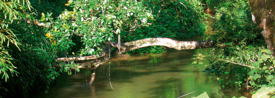 Andasibe Nationalpark