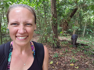 Tapir in Costa Rica