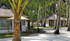 Kura Kura Resort