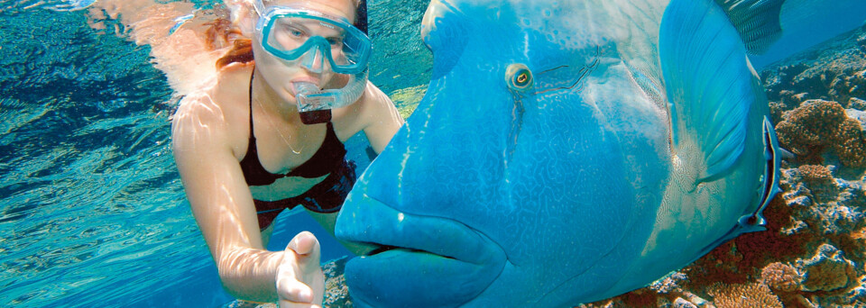 Schnorchlerin und Fisch am Great Barrier Reef