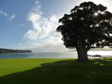Neuseeland Reisebericht - Ausblick im Copthorne Hotel & Resort Hokianga